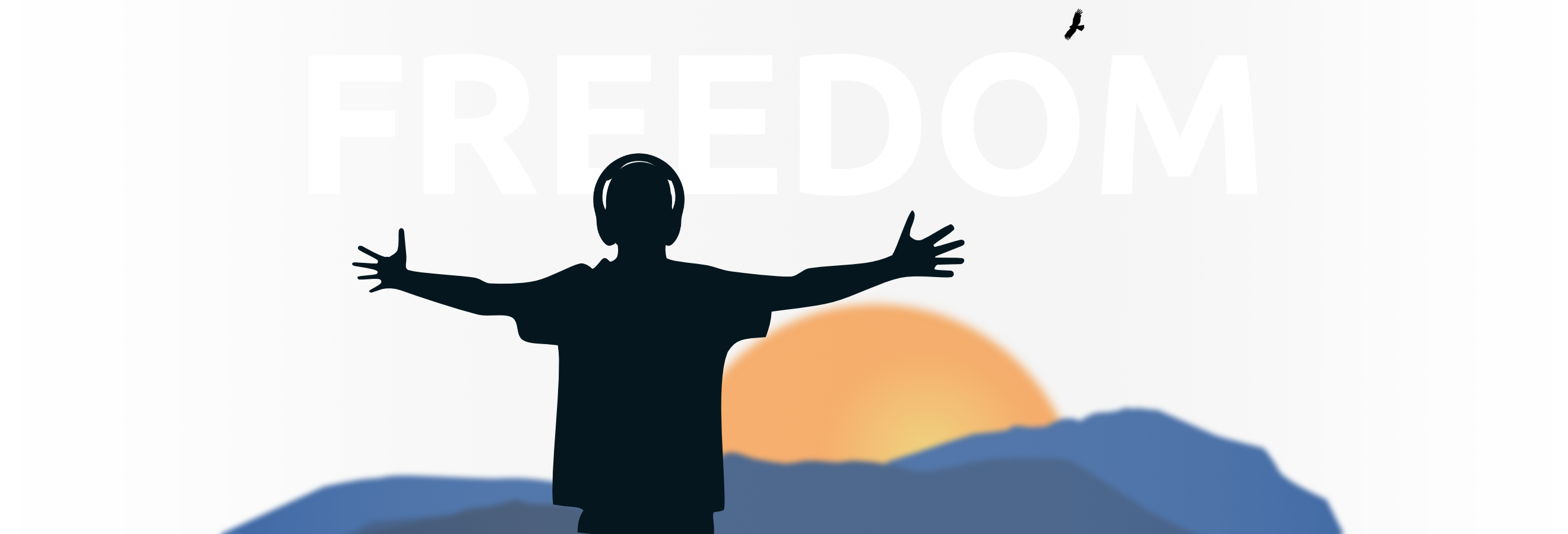 Freedom Desktop 1